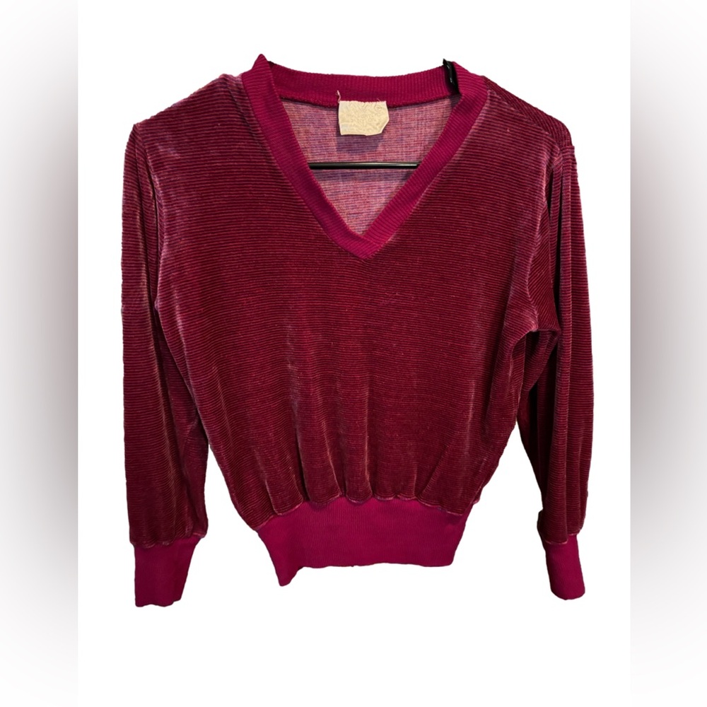 VTG Velour Striped Top (like raspberry?)